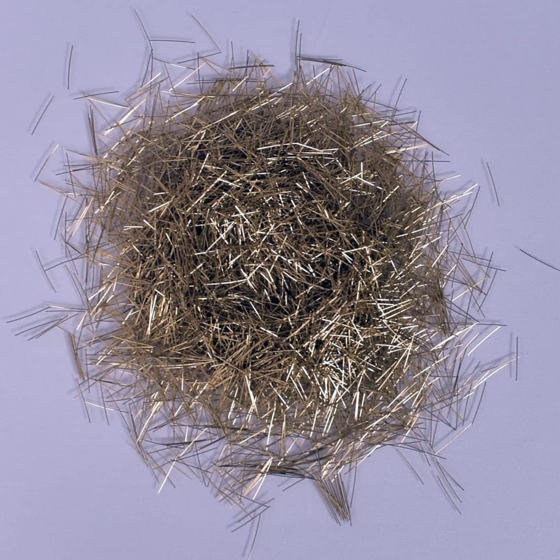 WhatsApp Image 2026-03-13 at 10.37.55 AM